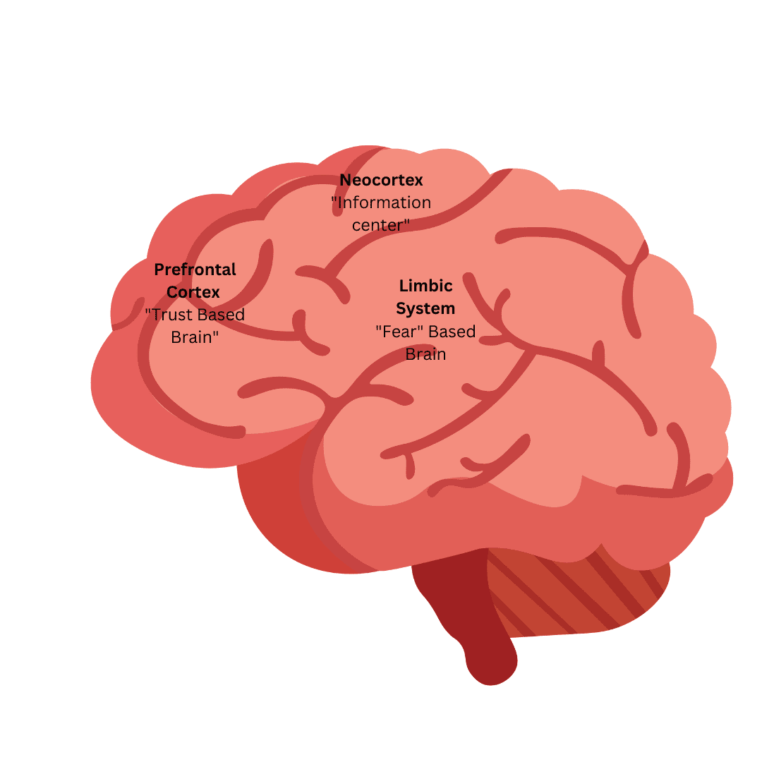 what-neuroscience-tells-us-about-the-future-of-work-culturestrategy